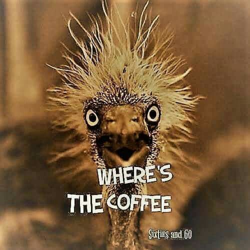 8d77eb6aa5e79d701b2e9d427e80089d--funny-coffee-humor-coffee-memes